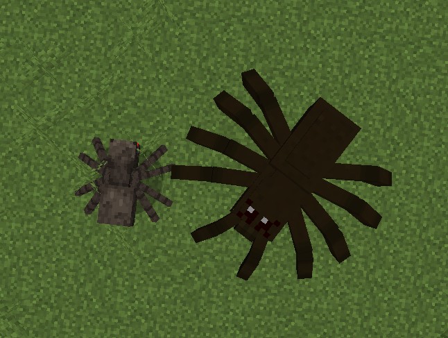 Tarantula vs Spider