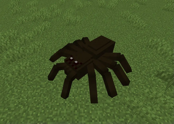 Tarantula