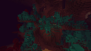 A Warped Forest