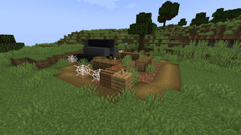 Abandoned Camp