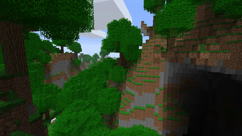 Reworked Rainforest