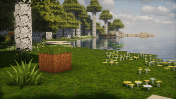 Birch Forest Riverbank