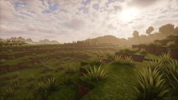 Sunset Plains