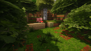 Forest Clearing