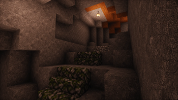 Mossy Cave