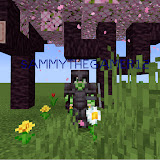 Sammythegamer12