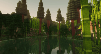 Lake in jungle