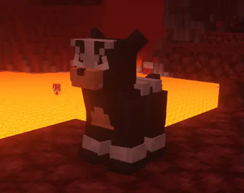 Houndour in the nether