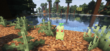 Chikorita
