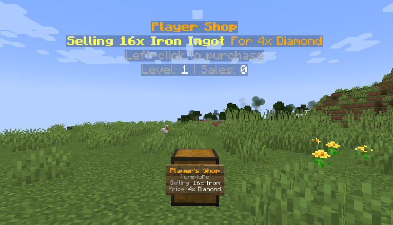 Shop Example