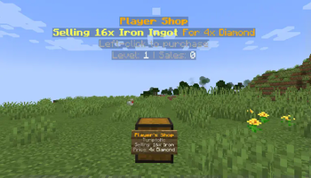 Example shop