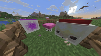 Cushions on Sulfur Cubes