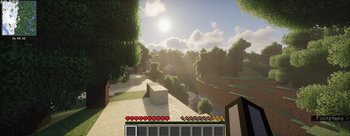 Sun, and the trees