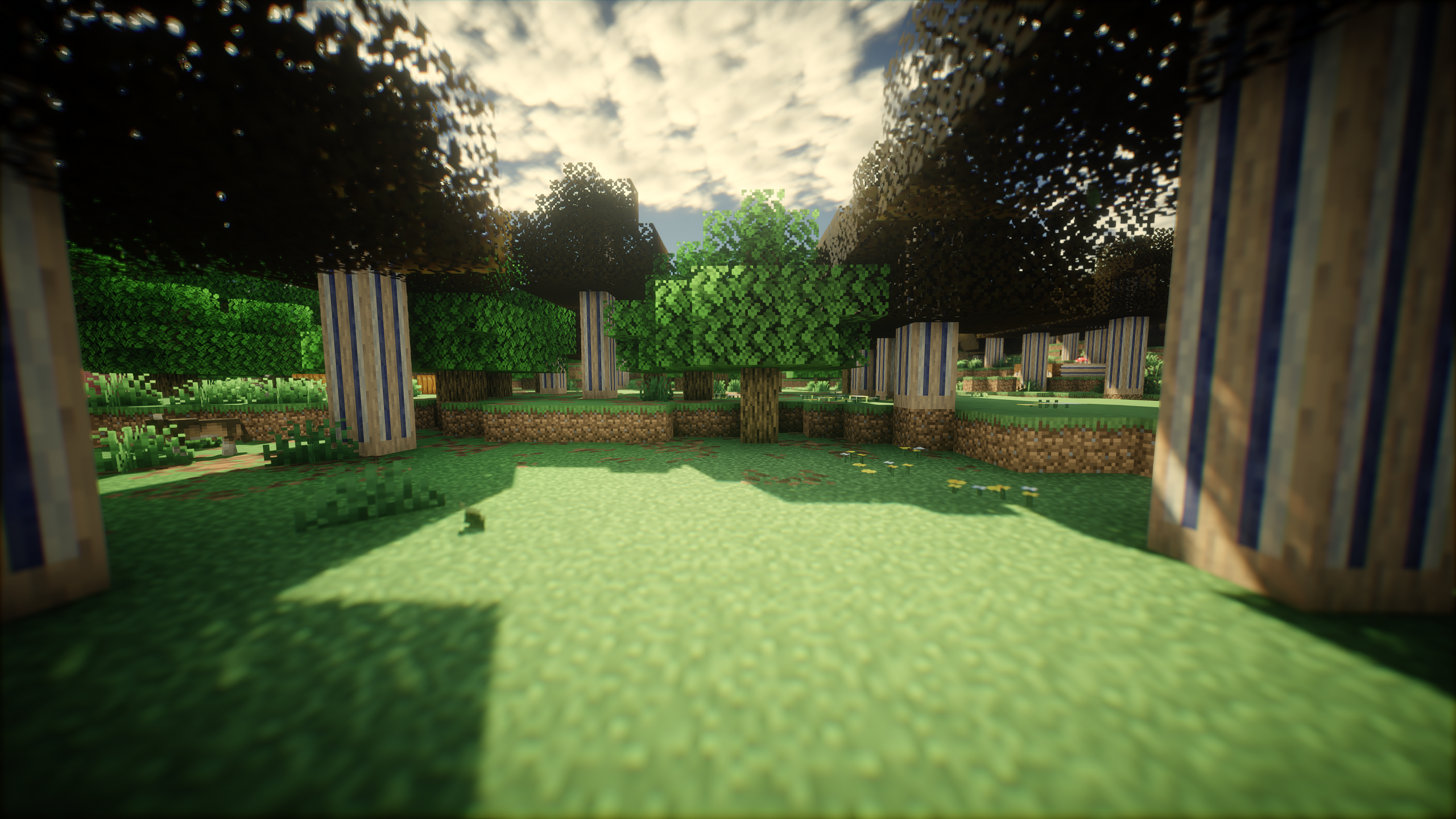 Lemmy Forest
