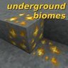 undergroundbiomes