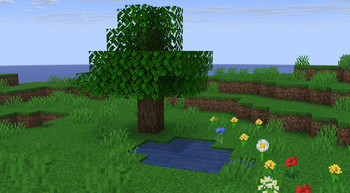 Jungle