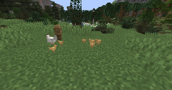 hen with chicks