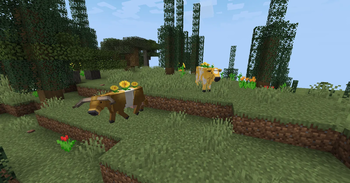yellow mooblooms