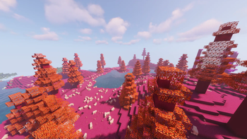 With Shaders