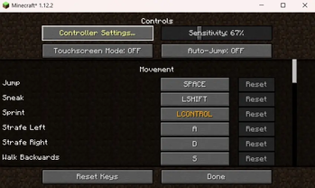 Controller Settings