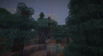 Before and After