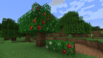 Apple Tree & ornamental leaves