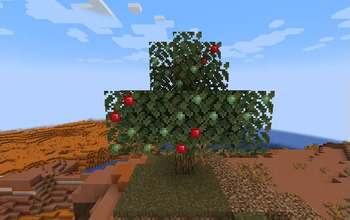Apple Tree in wooded_Badlands
