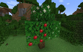 Apple Tree in forest