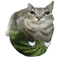 JxstCris_