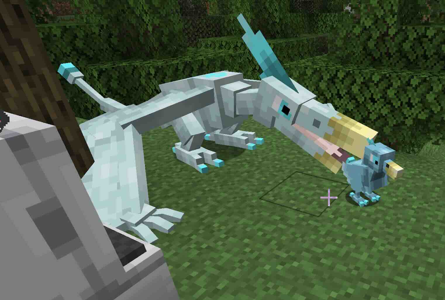 Pterae/Pteranodawn