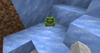 Old Cold Frog in Game