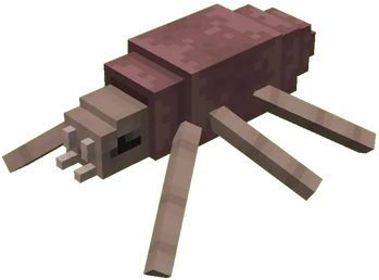 Spider -  Medium biter