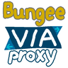 BungeeViaProxy