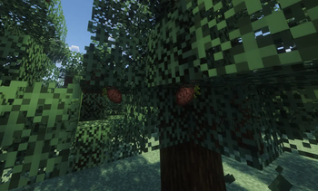 Dynamic pinecones