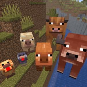 No Animal Variants
