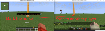 The sync function