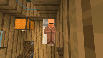 Villager sleeping