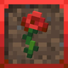 Ye Olde Rose