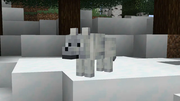 Snowy Wolf