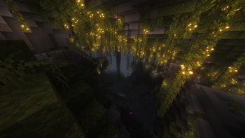 Shader Support