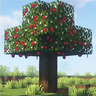 Bigg's Apple Trees