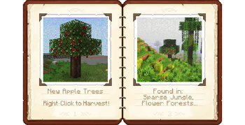 Apple Photo Album