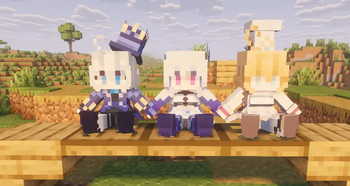Ice and Water Team