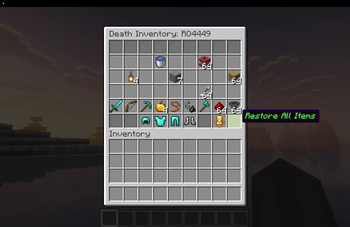 Invetory preview 