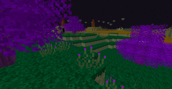 The Verdant Forest
