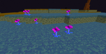 the end flowers