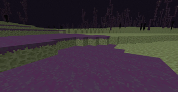 Purple Plains