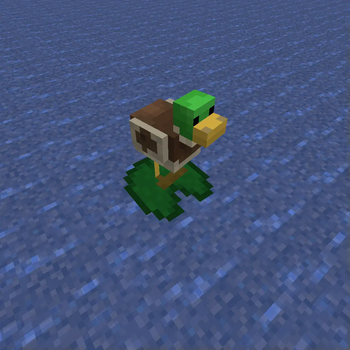 Chickens to Ducks.
