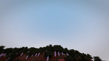Night Sky