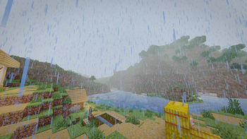 Rain